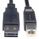 USB 10&#039; A to B